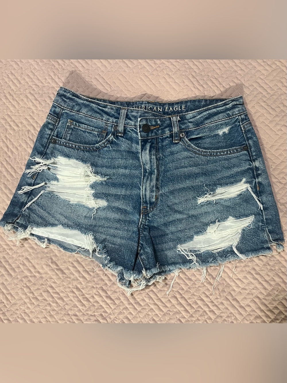 American Eagle Outfitters Distressed Blue Denim Cutoff Shorts